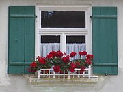 Blick auf ein Fenster mit grünen Fensterläden
