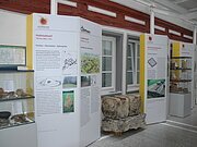 Infotafeln zur Hallstattzeit und zur Römischen Kaiserzeit sowie Vitrinen mit Fundstücken im Geopark Infozentrum in Oettingen