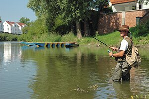 Angler